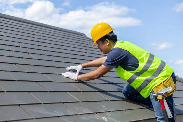 Best Roof Gutter Cleaning  in Grafton, WI